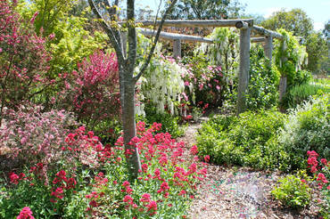 Ivy Hill Gallery - Accommodation NT 6