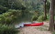 Nymboi-Binderay National Park - thumb 1
