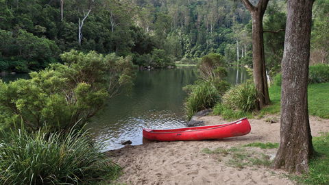 Nymboi-Binderay National Park - Accommodation NT 1