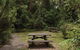 Nymboi-Binderay National Park - thumb 3