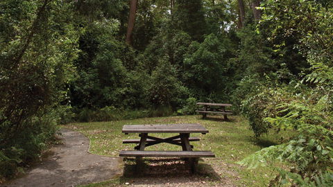 Nymboi-Binderay National Park - Accommodation NT 3