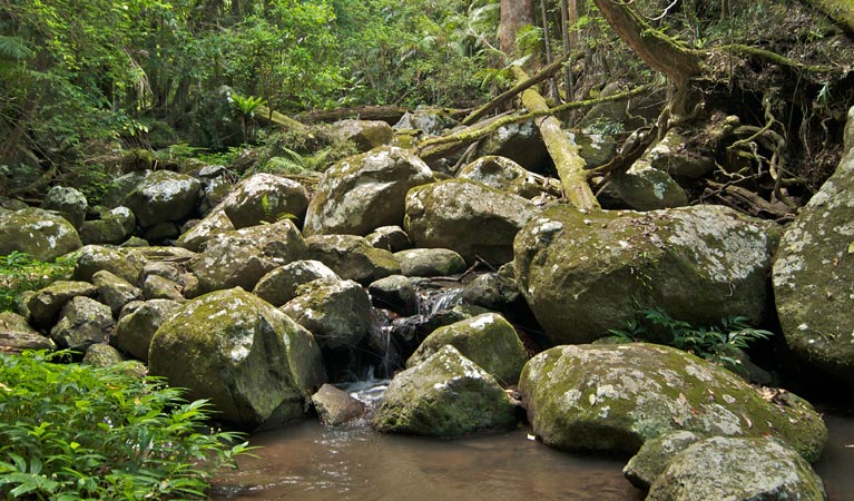 Lynchs Creek NSW Accommodation NT