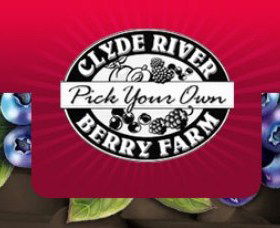 Clyde River Berry Farm - Accommodation NT 0
