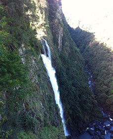 Ellenborough Falls - Accommodation NT 0