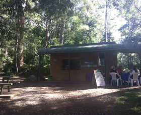 Ellenborough Falls - Accommodation NT 1