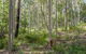 Corramy Regional Park - thumb 1