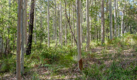 Corramy Regional Park - Accommodation NT 1