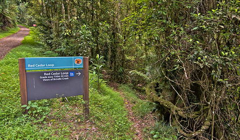 Red Cedar Loop - Accommodation NT 0