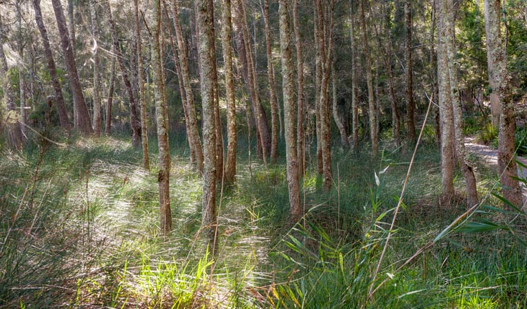 Bewong NSW Accommodation NT
