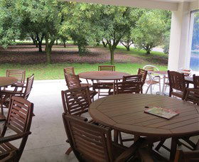 Medowie Macadamias - Accommodation NT 1