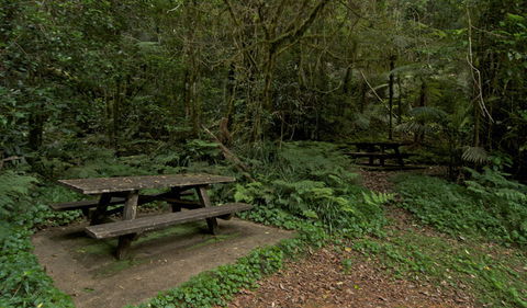 Brindle Creek Picnic Area - Accommodation NT 2