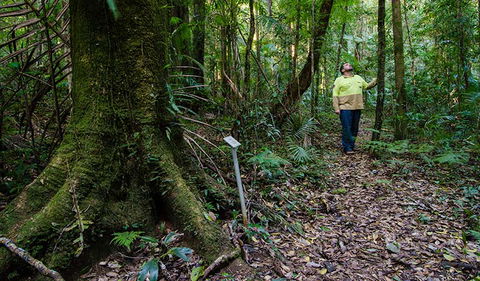 Botanic Walk - Accommodation NT 3