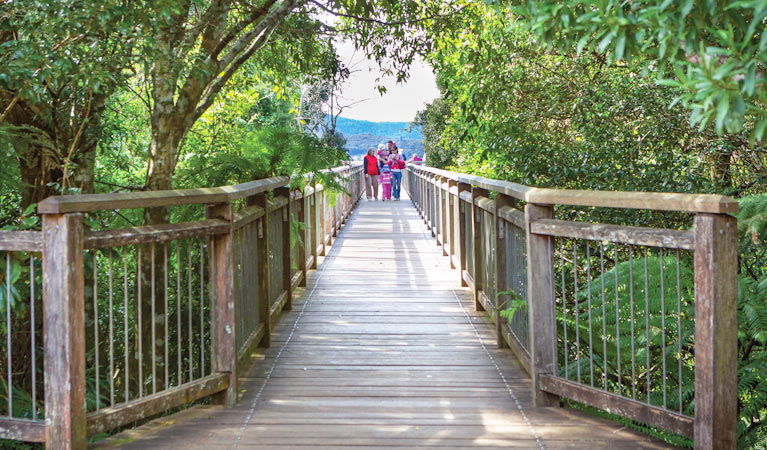 Dorrigo Mountain NSW Accommodation NT