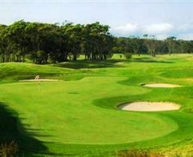 Shoalhaven Heads Golf Club - Accommodation NT 0