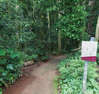 Walk with the Birds boardwalk - NT Tourism