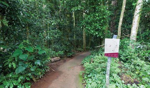 Walk With The Birds Boardwalk - Accommodation NT 0