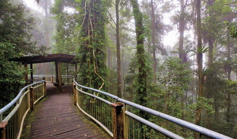 Walk With The Birds Boardwalk - Accommodation NT 3