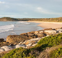 Burrawang track - Conjola Beach to Buckleys Point