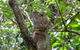 Boorganna Nature Reserve - thumb 3