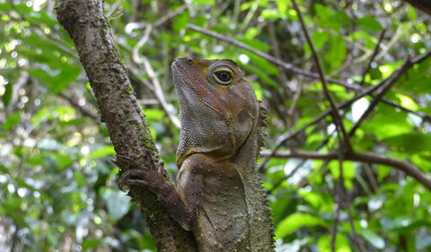 Boorganna Nature Reserve - Accommodation NT 3