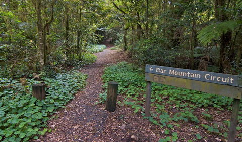 Bar Mountain Circuit - Accommodation NT 0
