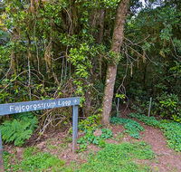 Falcorostrum loop walking track - Accommodation NT