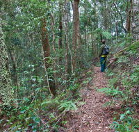 Blackbutt walking track - NT Tourism