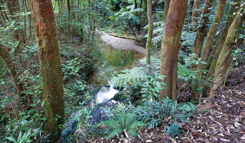Blackbutt Walking Track - Accommodation NT 1