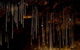 Tamborine Mountain Glow Worm Caves - thumb 0
