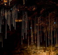 Tamborine Mountain Glow Worm Caves - Accommodation NT