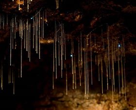 Tamborine Mountain Glow Worm Caves - Accommodation NT 0