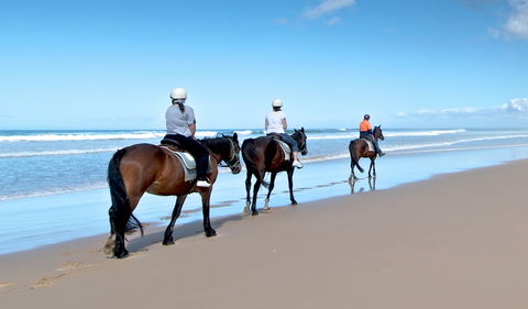 Worimi National Park - Accommodation NT 1