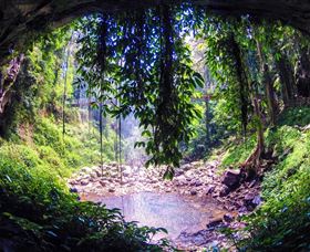 Dorrigo Rainforest Centre - Accommodation NT 1