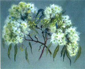 Norma Holt Studio Gallery - Accommodation NT 1