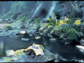 Coomera Circuit - Accommodation NT 0