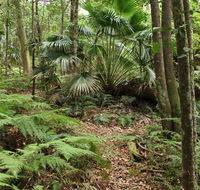 Durras Lake Discovery trail - NT Tourism