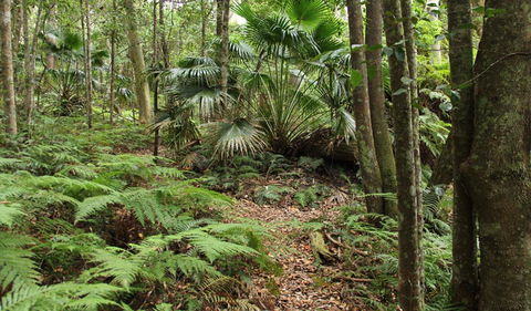 Durras Lake Discovery Trail - Accommodation NT 0