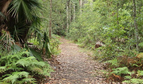Durras Lake Discovery Trail - Accommodation NT 1