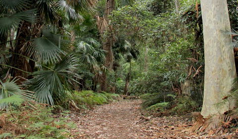 Durras Lake Discovery Trail - Accommodation NT 2
