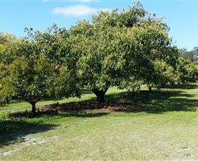The Avocado Farm - Accommodation NT 1