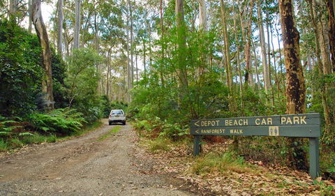 Depot Beach Rainforest Walk - Accommodation NT 1