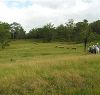 Numinbah Valley Adventure Trails - Accommodation NT