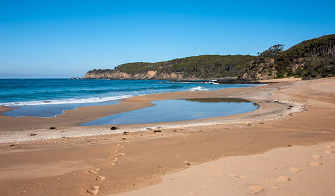 Myrtle Beach Walking Track - Accommodation NT 3