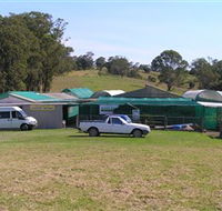 Tinonee Orchid Nursery - Accommodation NT