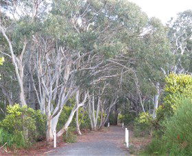 Booderee National Park: Munyunga Waraga Dhugan Walking Trail - Accommodation NT 3