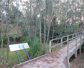 Booderee National Park: Munyunga Waraga Dhugan Walking Trail - Accommodation NT 8