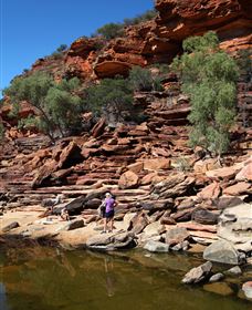Inland Gorges - Accommodation NT 2