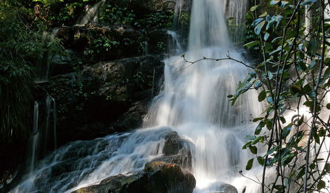 Bangalore Falls Walking Track - Accommodation NT 3