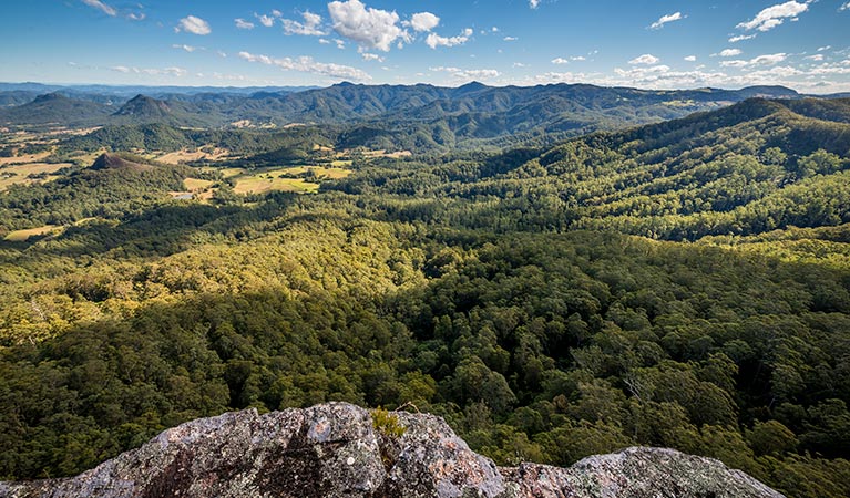 Lansdowne Forest ACT NT Tourism