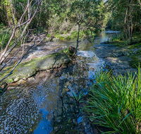 Dawson River walking track - Accommodation NT